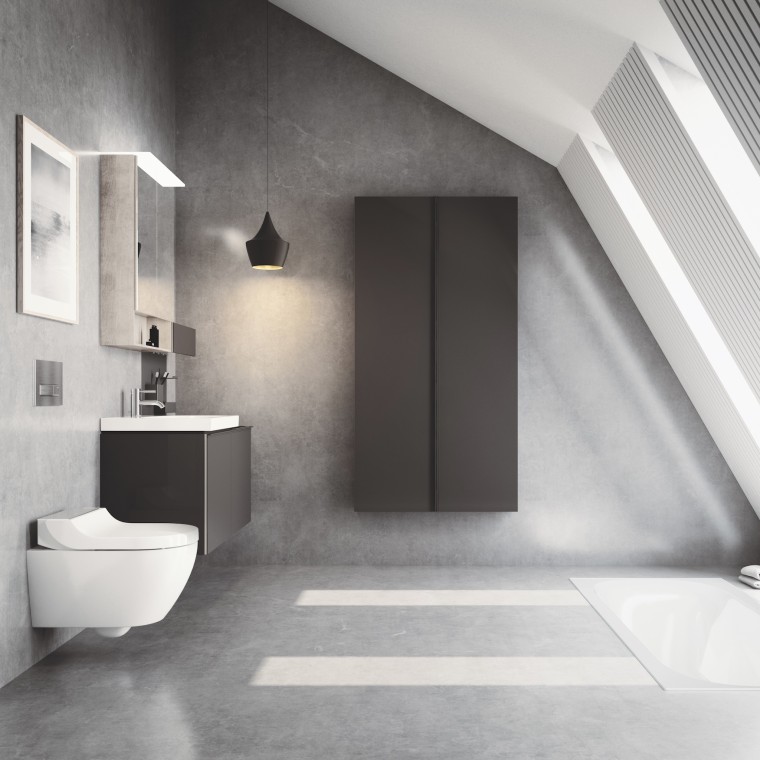 Geberit AquaClean Tuma duschtoalett med designkåpa i borstat, rostfritt stål Geberit AquaClean Tuma duschtoalett med designkåpa i borstat, rostfritt stål