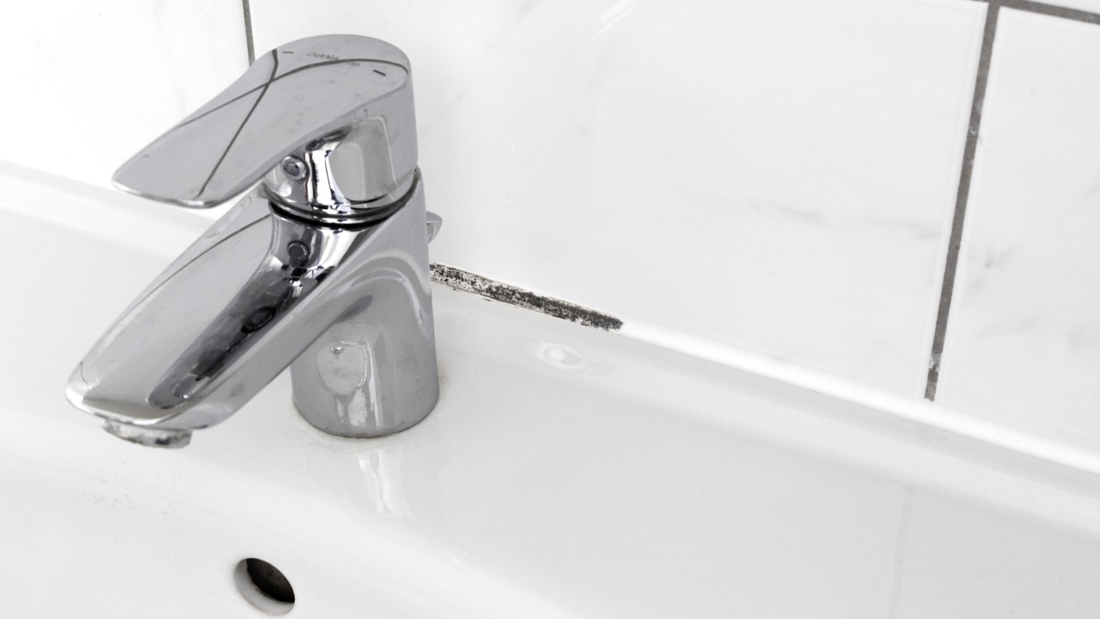 Mögel i fogar Mögel i fogar