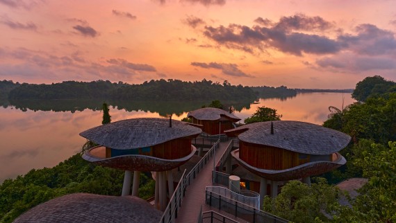 Hus inspirerade av frökapslar på Mandai Rainforest Resort (© Banyan Tree) Hus inspirerade av frökapslar på Mandai Rainforest Resort (© Banyan Tree)