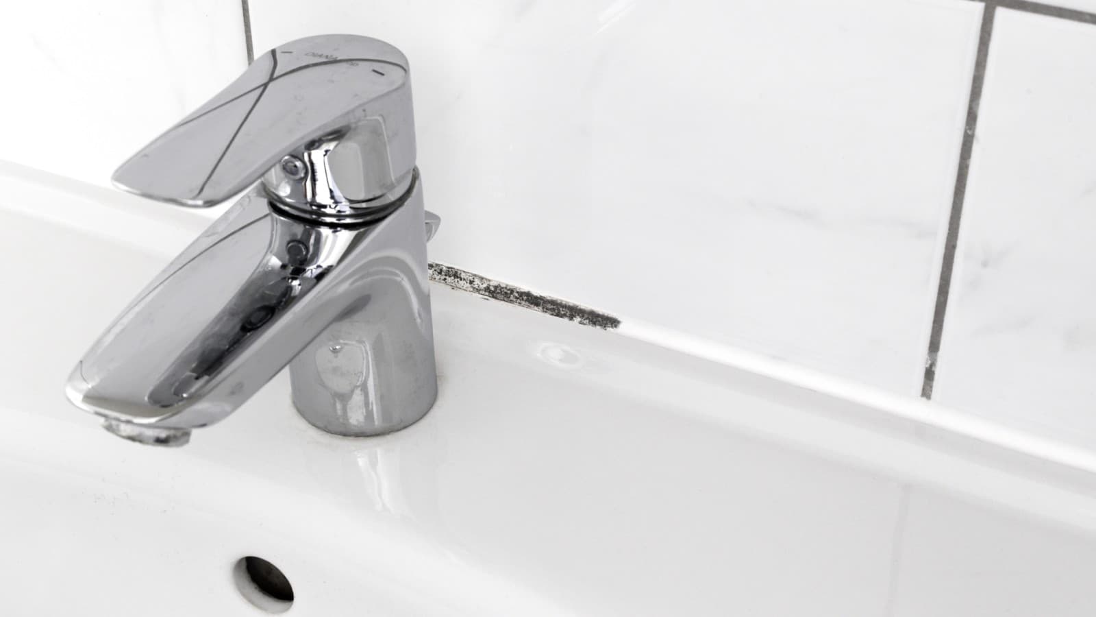 Mögel i fogar Mögel i fogar